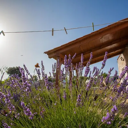 Апартаменты Krcina Holiday *